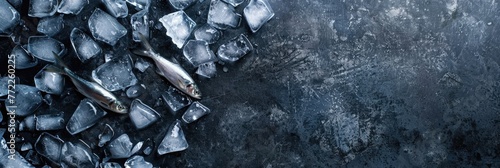 horizontal banner for fish market, fresh seafood, sardine lying on crushed ice, ice cubes, food preservation, gray background, copy space, free space for text