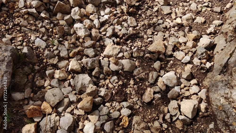 The shadows of the branches are seen on the stones The shadows of the branches are seen on the stones