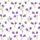 Seamless watercolor pattern with wildflowers bluebell on transparent background. Can be used for fabric prints, gift wrapping paper, kitchen textile