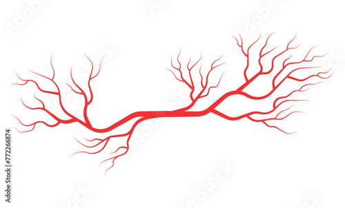 Human blood red eye vein arteries illustration vector