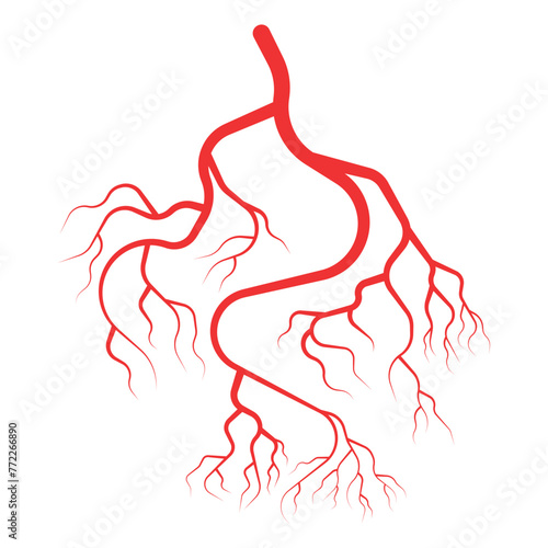 Red arteries vein human red eye blood vessels illustration vector