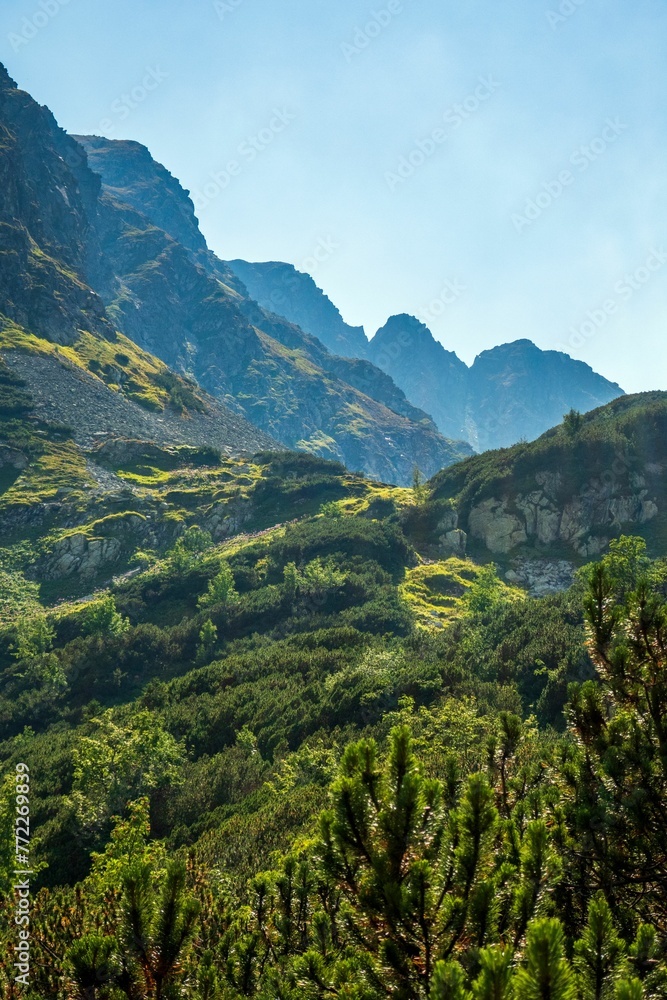 Beautiful view of the Western Tatras mountain range in summer. Carpathian Mountains, Slovakia.