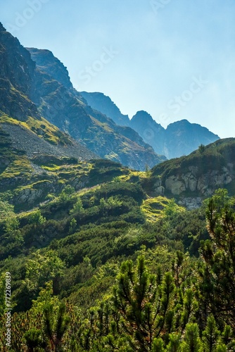 Beautiful view of the Western Tatras mountain range in summer. Carpathian Mountains, Slovakia.