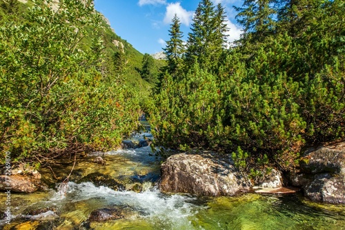 Tranquil mountain stream meandering its way through lush trees. High Tatra Mountains, Slovakia.