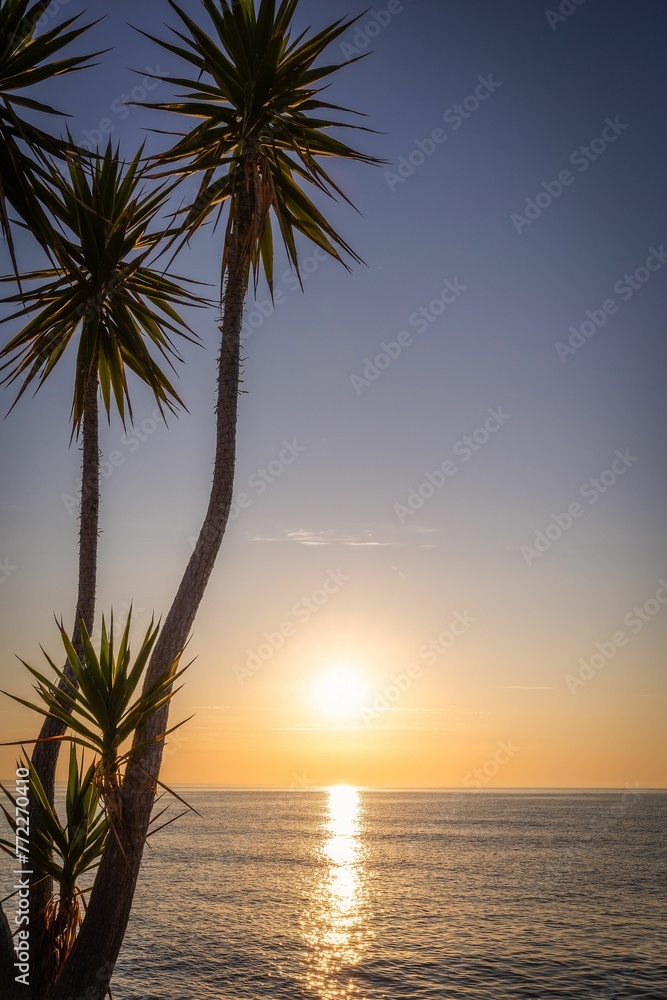 Scenic view of tropical trees on the beach against the sea at golden sunset