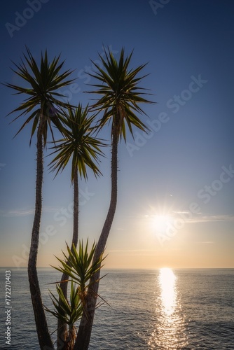 Scenic view of tropical trees on the beach against the sea at golden sunset