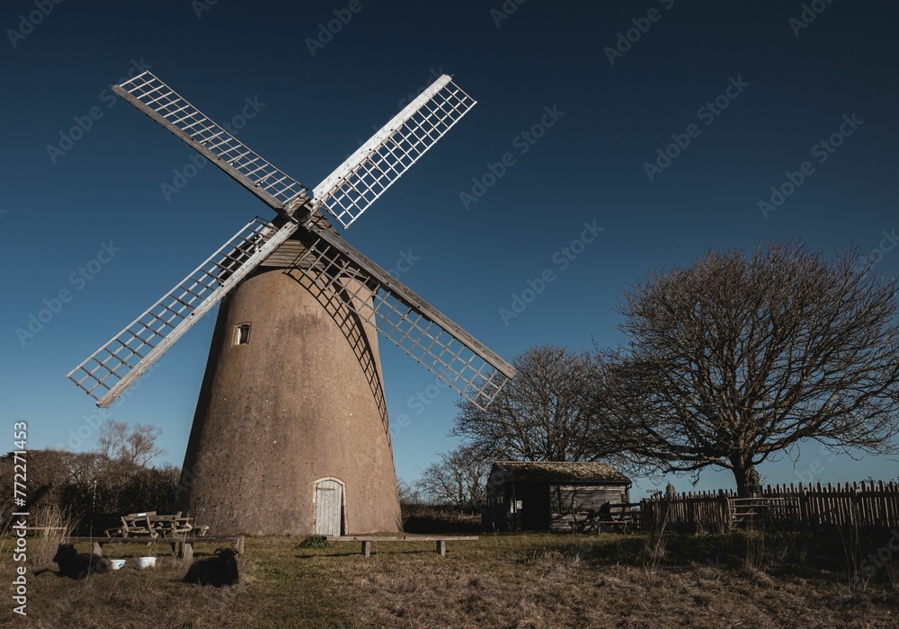 Bembridge windmill standing on a vast meadow, with a cloudless sky stretching out behind it