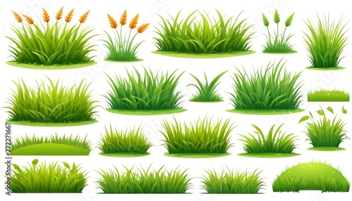 grass design elements illustrations set on isolated white background 