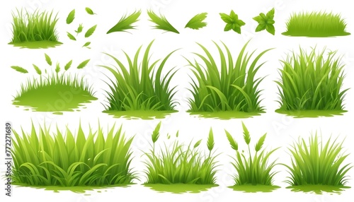 grass design elements illustrations set on isolated white background 