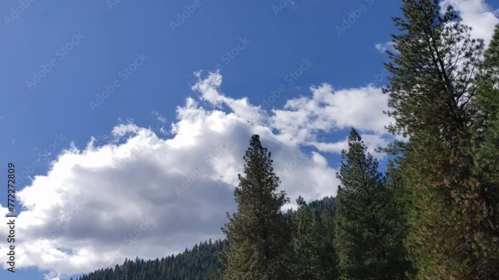 Beautiful view of green treetops with a background of clouds in the sky Beautiful view of green treetops with a background of clouds in the sky