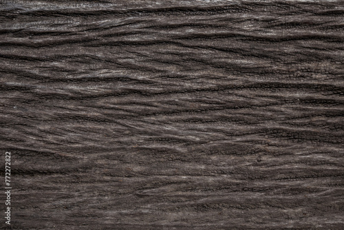 Wallpaper Mural Abstract texture nature surface of dark wood art texture background Torontodigital.ca