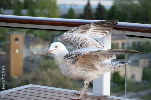 On the upper deck of a large ocean liner. photo