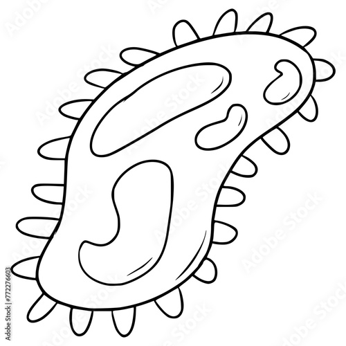 bacteria illustration hand drawn outline vector