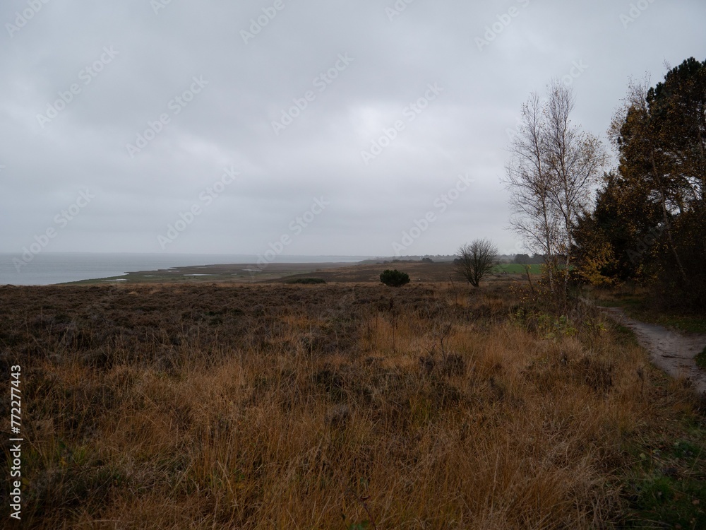 Scenic view of an overgrown path on an ancient road, leading towards the ocean Scenic view of an overgrown path on an ancient road, leading towards the ocean