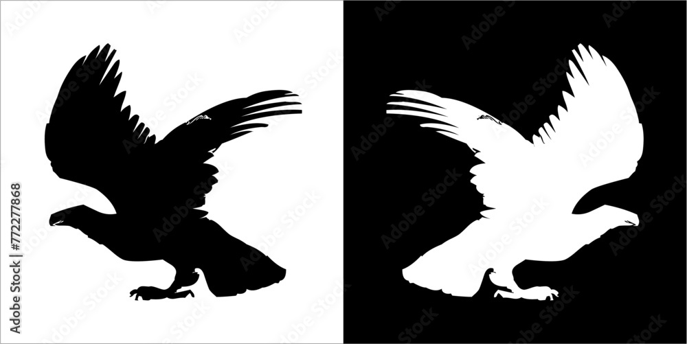Illustration vector graphics of eagle icon Illustration vector graphics of eagle icon