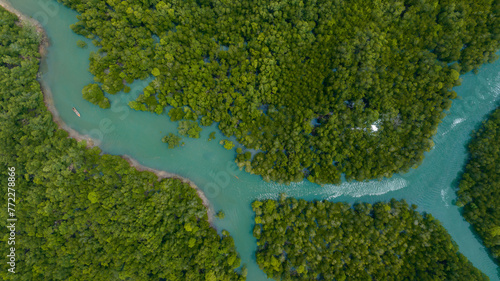 beautiful mountain natural green field wetlands of forest in the wild forest mountain ,Clean Air natural fresh Air concept. Forest lake Rainforest ecosystem mangrove trees.