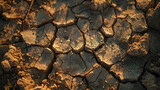 A cracked and parched earth in a drought-stricken region