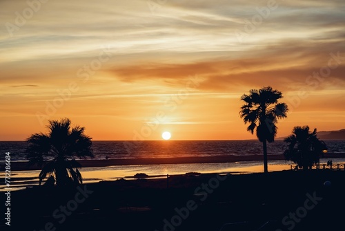 Silhouette of palm trees on the sandy beach of  Tarifa  Spain at a golden hour