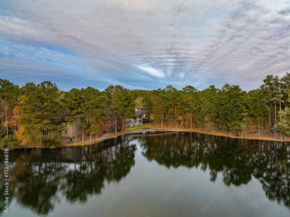 Tranquil landscape featuring a row of trees on the edge of Harbison Lake, SC