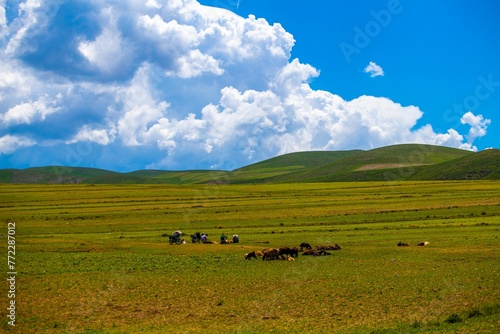 Idyllic rural landscape against a vibrant blue sky in Town of Takab, West Azerbaijan Province, Iran photo