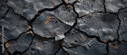 Detailed view of the cracked surface of a tree, revealing intricate patterns and textures.