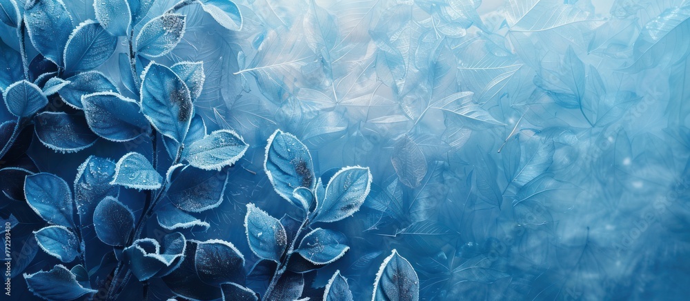 A close-up view of a window covered in frost, displaying intricate ice patterns and a frosty, icy blue background.