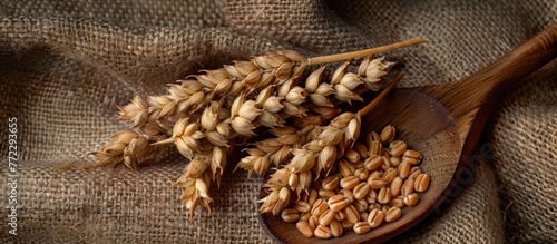 A wooden spoon is filled with wheat grains, placed on top of a table.