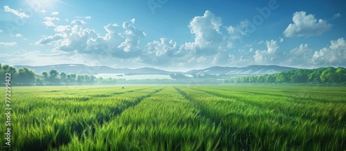 A vast field of green grass stretches towards towering mountains in the background under a clear sky.