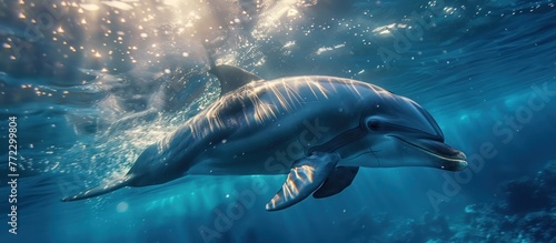 A dolphin gracefully swims under the water in the vast ocean.