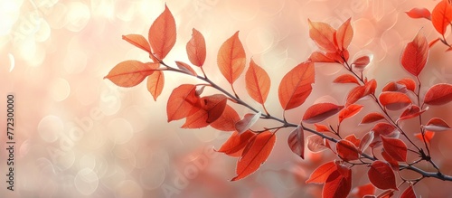 A branch of a tree with bright red leaves stands out against a blurred background.