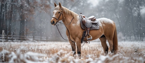 A majestic brown horse with a leather saddle standing gracefully in a field covered in snow on a cold winter day.