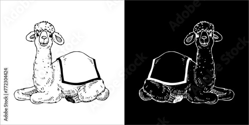 Illustration vector graphics of Zooland icon