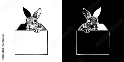 Illustration vector graphics of Zooland icon