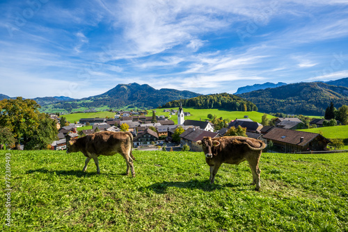 Village of Schwarzenberg in the Bregenzerwald, State of Vorarlberg, Austria © TRAVEL EASY