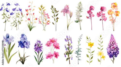 Set of watercolor wildflowers painting isolated on clear png background and transparent background. Fresh and nature concept for nature decorative and flower element, AI generative. #772311046
