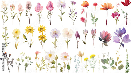 Set of watercolor wildflowers painting isolated on clear png background and transparent background. Fresh and nature concept for nature decorative and flower element  AI generative.
