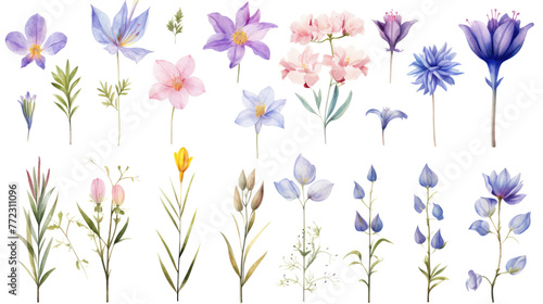 Set of watercolor wildflowers painting isolated on clear png background and transparent background. Fresh and nature concept for nature decorative and flower element, AI generative.