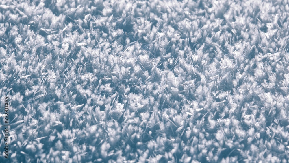 Obraz premium Image of snowflakes in winter