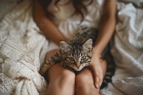 cat lies on the lap of a young woman