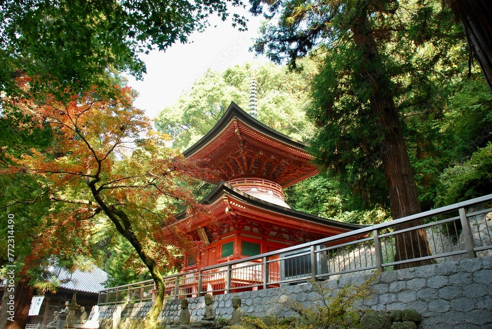red pagoda surrounded by trees in the middle of the forest
