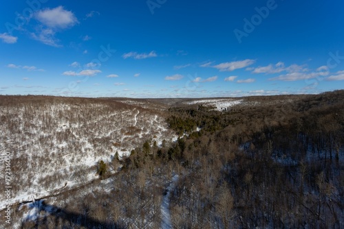 Beautiful view of forests and melting snow from the Kinzua Bridge in Pennsylvania