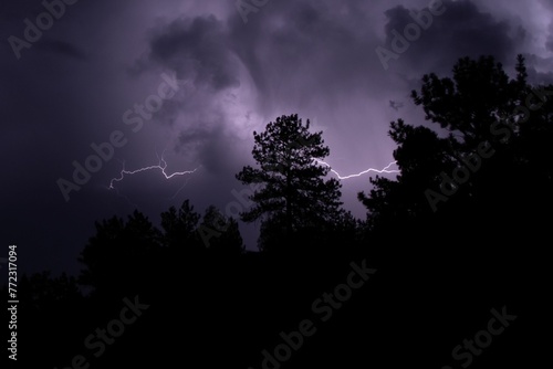 Dramatic scene of a thunderstorm illuminated by a streak of lightning over a field of trees