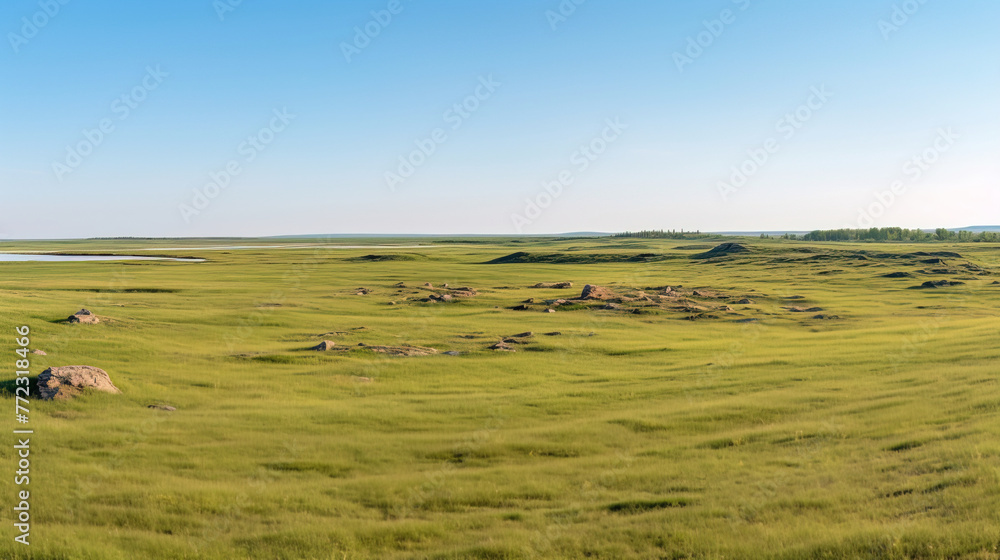 Obraz premium landscape with grass and sky.