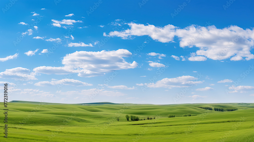 landscape with grass and sky.