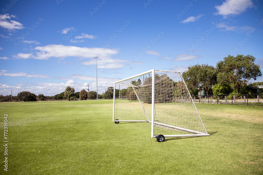 Fototapeta premium football goal on wheels on the field