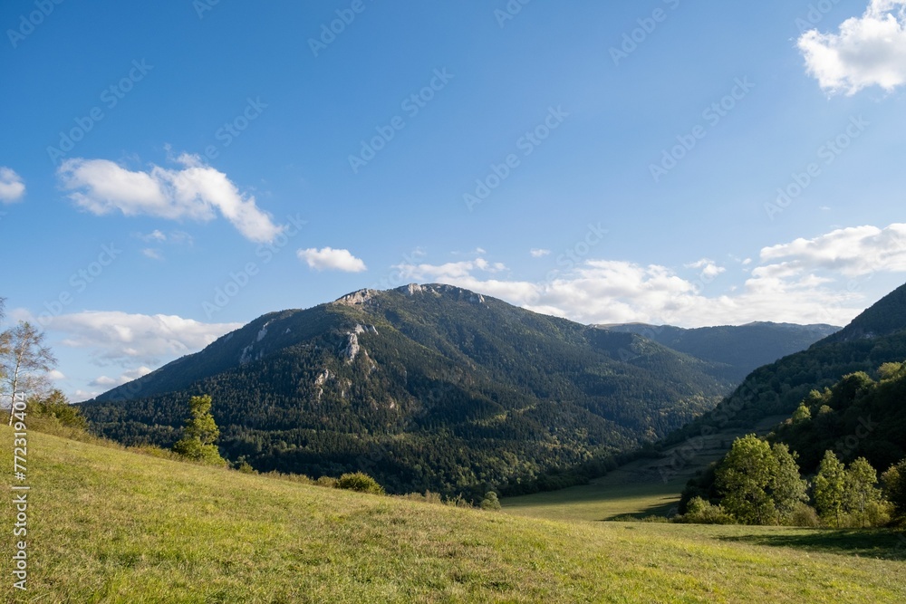 Scenic landscape of a green mountainous terrain featuring lush green trees, against the bright sky Scenic landscape of a green mountainous terrain featuring lush green trees, against the bright sky