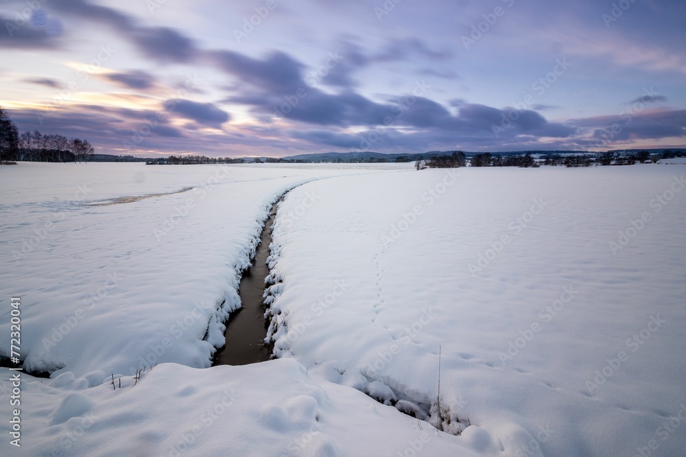 snowy ground and snow covered field with bare trees under a cloudy sky snowy ground and snow covered field with bare trees under a cloudy sky