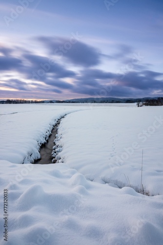 Fototapeta Naklejka Na Ścianę i Meble -  Scenic winter landscape featuring a snow-covered field and bare trees against a cloudy sky