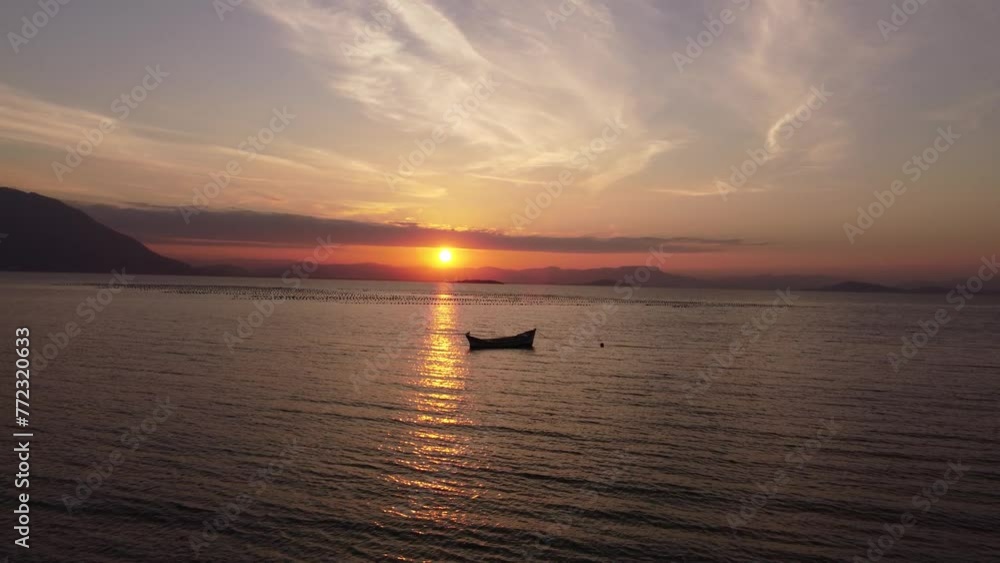 Drone view of birds flying above sea during a sunset Drone view of birds flying above sea during a sunset