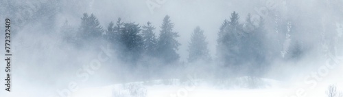 Beautiful winter landscape with snow-covered trees on a foggy day